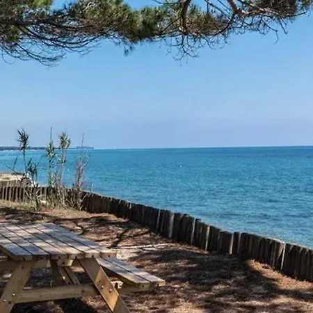 - Piscine - Eeig0e Campsite San-Nicolao