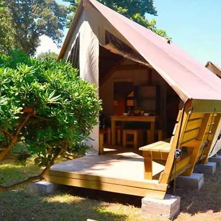 Campsite - Piscine - Eeig0e San-Nicolao