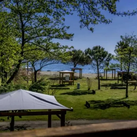Campsite - Piscine - Eeig0e San-Nicolao
